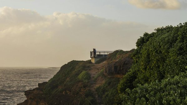 Comment optimiser son temps lors d'une visite au parc national de Yellowstone ?
