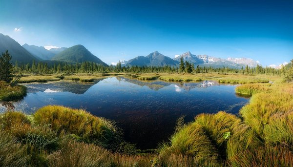 Quels sont les équipements high-tech qui peuvent améliorer votre expérience de camping ?