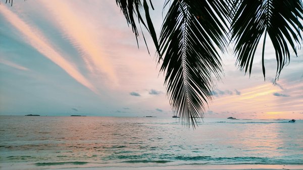 Les croisières thématiques : Pourquoi vous devriez les essayer